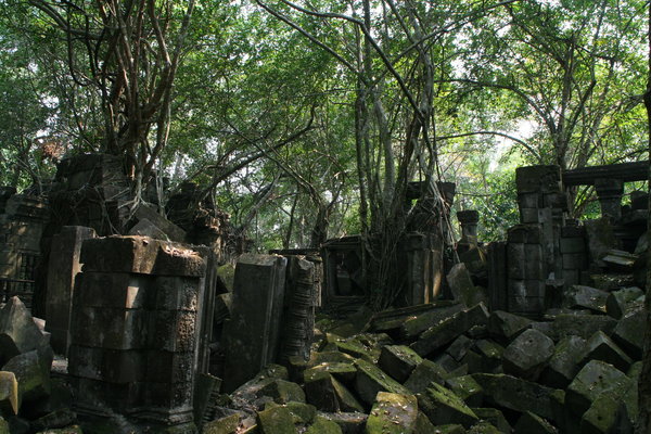 The Temple of Boeng Mealea
