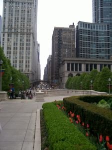 Somewhere in Chicago