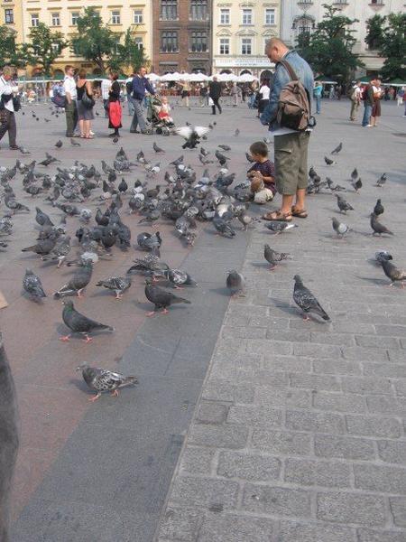 pigeons swarming around an excited child