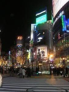 Shibuya Bright Lights