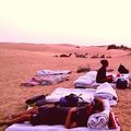 Camping with Camels