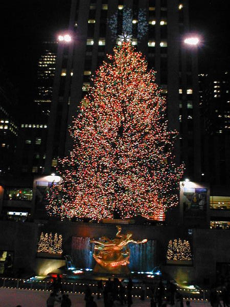 Christmas Tree by night