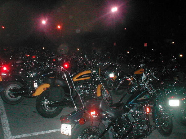 How many Harley's?