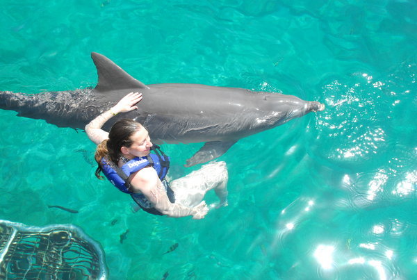 Me stroking dolphin