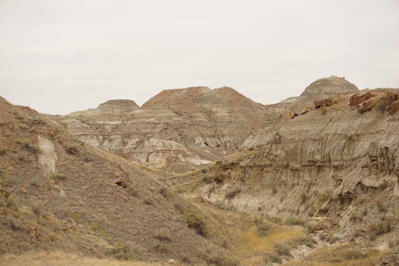 Badlands im Dinosaur Provincial Parc