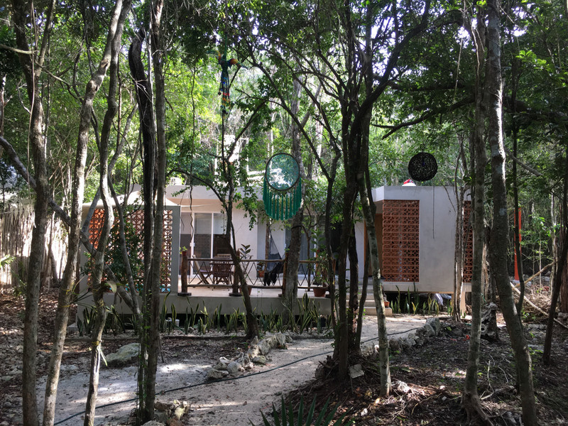 Unsere Dschungel-Casa