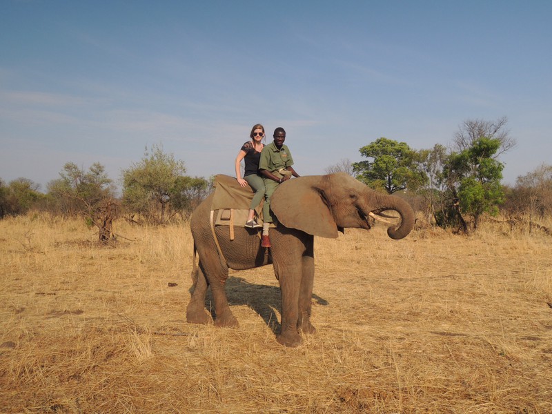 Elefant Back Safari 1
