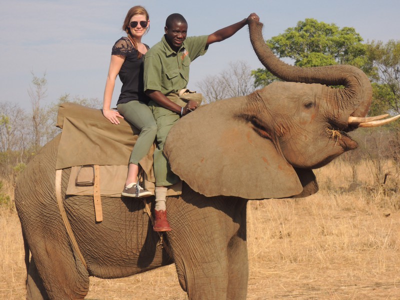 Elefant Back Safari 2