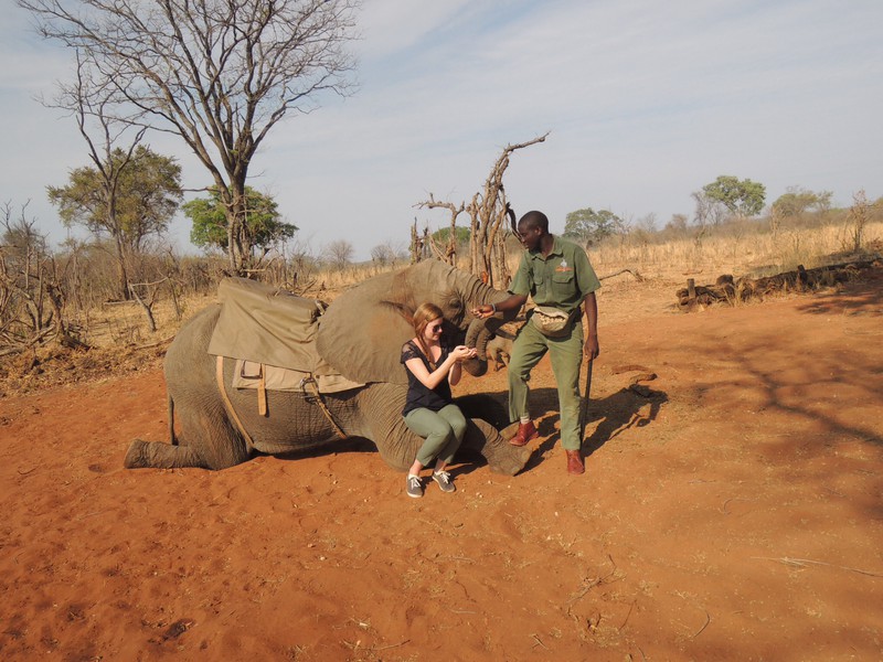 Elefant Back Safari 4