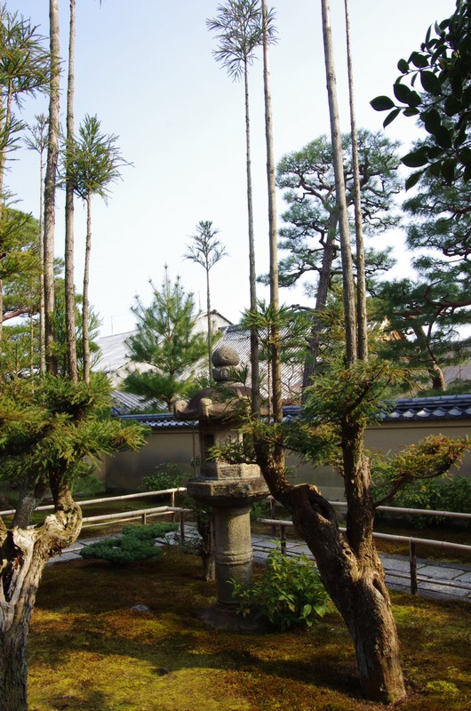Gartenanlage Daitoku-Ji-Tempelkomplex