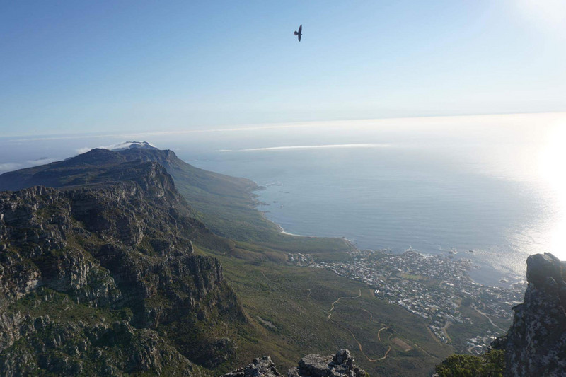 Blick auf Camp's Bay vom Tafelberg aus
