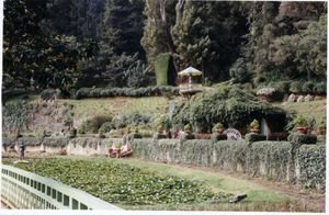 ooty botanical gardens