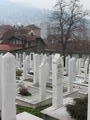 One of the many graveyards in Sarajevo