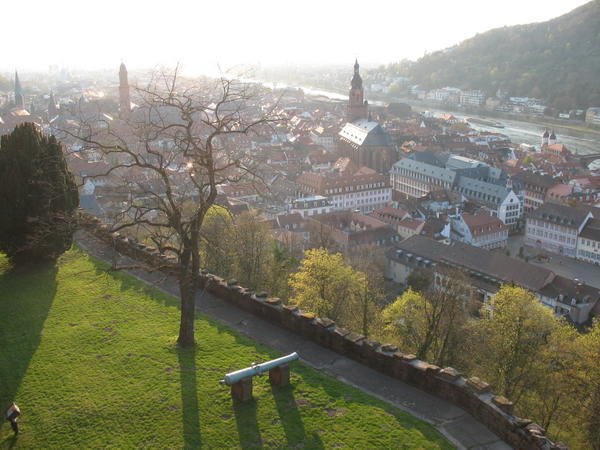 From Heidelberg Castle