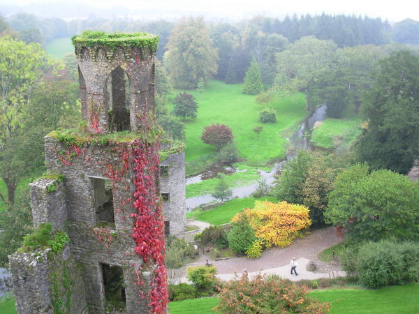 Blarney Castle gardens
