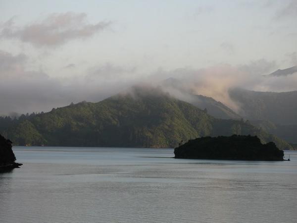Picton in the morning