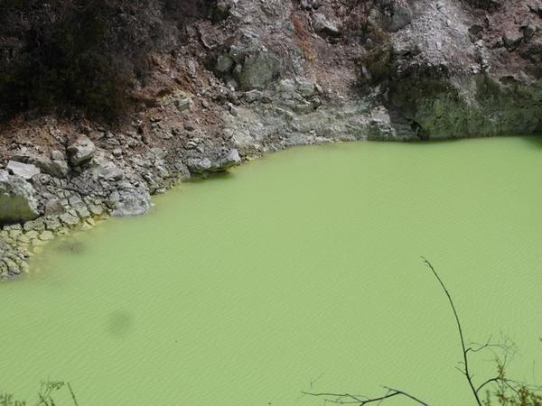 Pea green soup lake