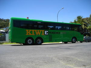 Kiwi Bus