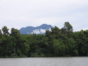 The Daintree river