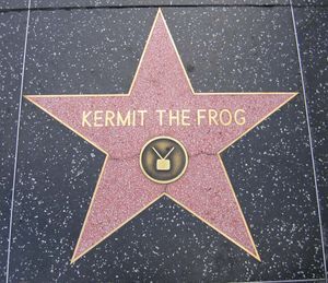 The Walk of Fame....