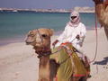 The guy with the Camels