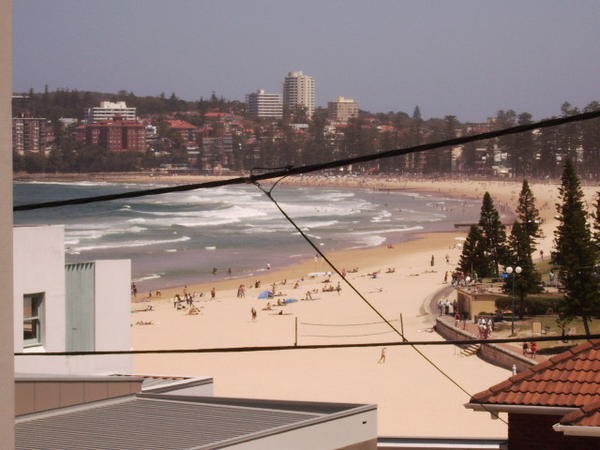 Manly beach from above