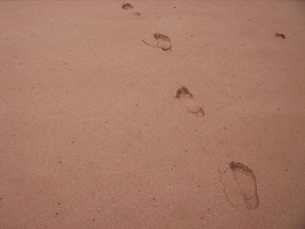 footprints in the sand...