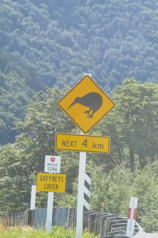 Kiwi Crossing