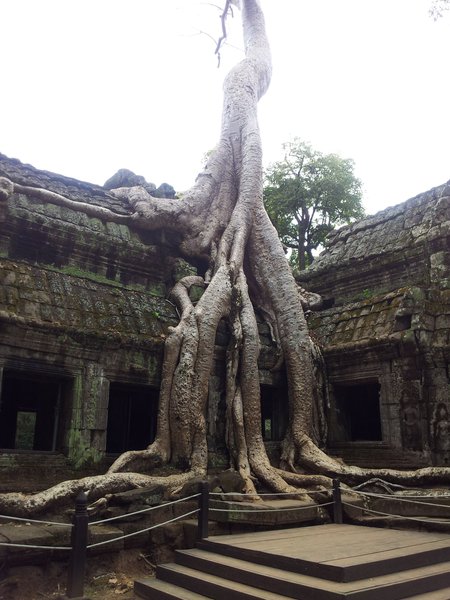 Siem Reap