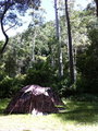 The Cool Camo Tent