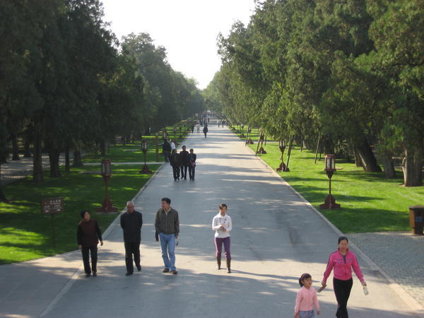 The Temple of Heaven and Gardens 8