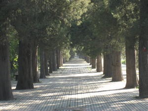 The Temple of Heaven and Gardens 6