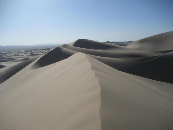 Top of the Dunes