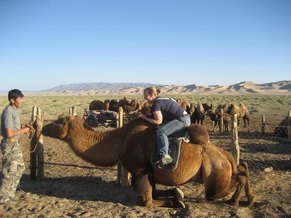 Getting on the camel