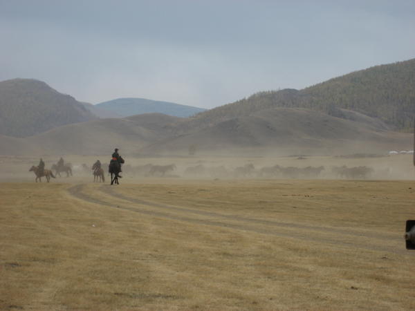 Herders moving their horses across the Valley