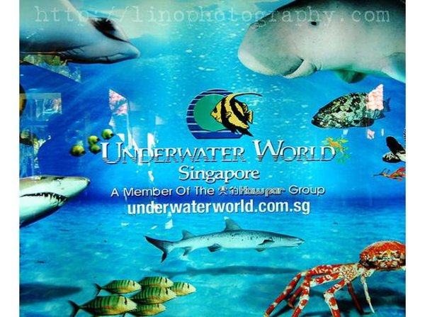 underwater world 