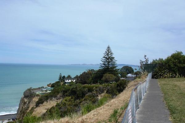 View up on Napier Bluff Hill