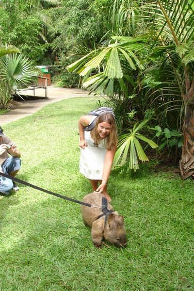 Meeting a Wombat