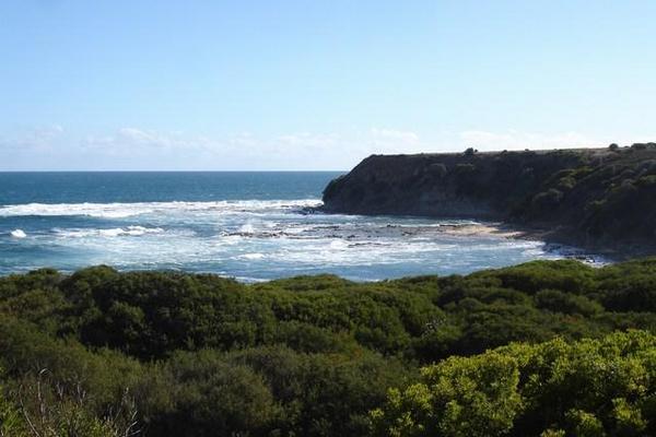 Shelly Beach