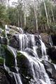 Noojee Forest - Toorongo Falls