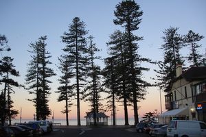 Manly Beach front