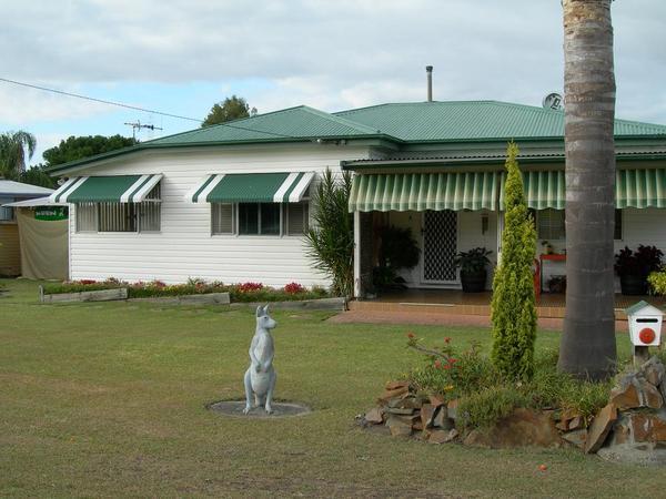 Kangaroo in front garden