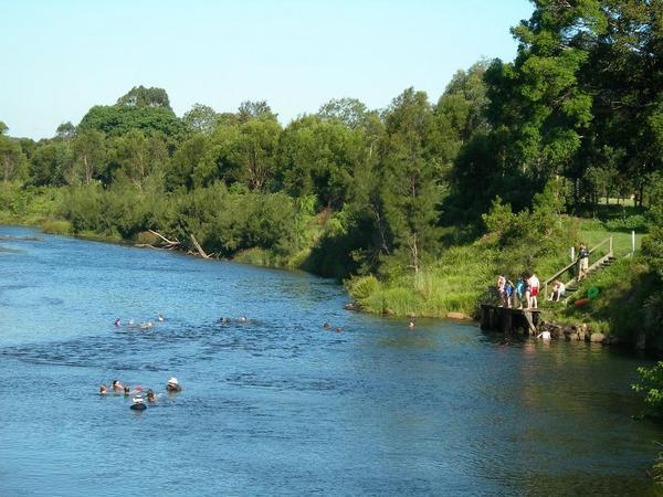 Swimming in Bellinger River