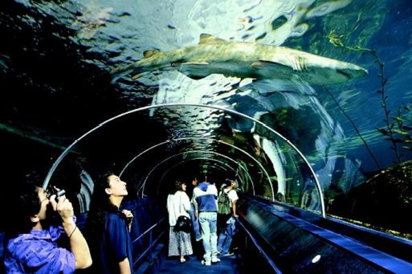Under Water Tunnel