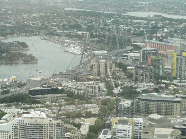View from Eye Tower