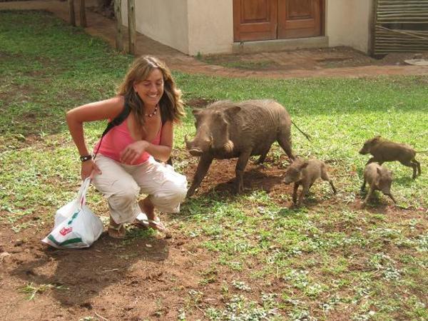 Anto with the resident warthogs