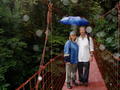 Us enjoying the Cloud Forest and the high elevation species