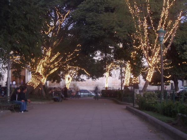 Christmas Lights in Antigua Plaza