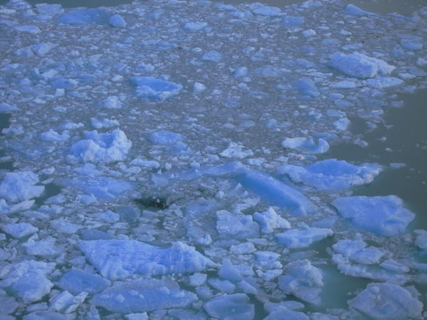 Broken Ice in the Lake