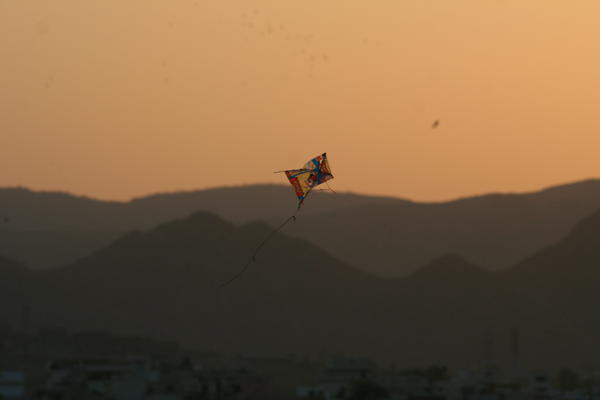 Kite Flying - Udaipur